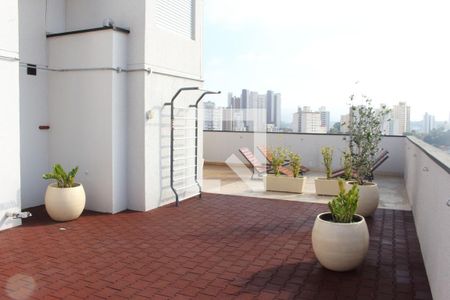 Apartamento para alugar com 36m², 1 quarto e sem vagaCobertura - Solário