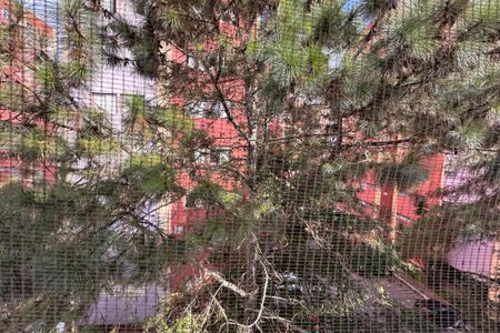 Apartamento à venda com 68m², 3 quartos e 1 vagaVista do Quarto 2