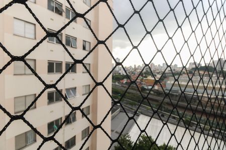 Varanda - Vista  de apartamento para alugar com 2 quartos, 54m² em Vila Guilhermina, São Paulo