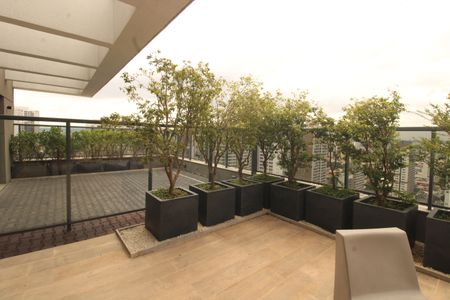 Apartamento para alugar com 35m², 1 quarto e sem vagaÁrea comum