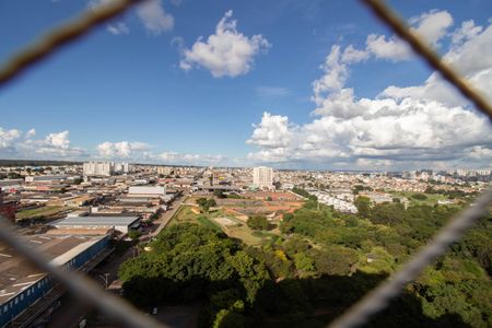 Vista de apartamento para alugar com 2 quartos, 50m² em Qi 24, Brasília