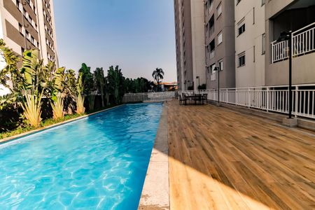 Apartamento para alugar com 50m², 2 quartos e 1 vaga Apartamento para alugar com 50m², 2 quartos e 1 vagaÁrea comum - Piscina