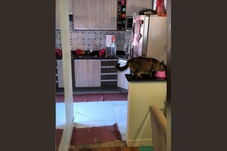 Apartamento à venda com 64m², 3 quartos e 1 vagaFoto 06