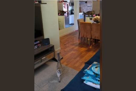 Apartamento à venda com 64m², 3 quartos e 1 vagaFoto 05