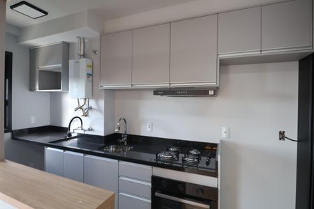 Apartamento à venda com 49m², 2 quartos e 1 vagaCozinha - Armários