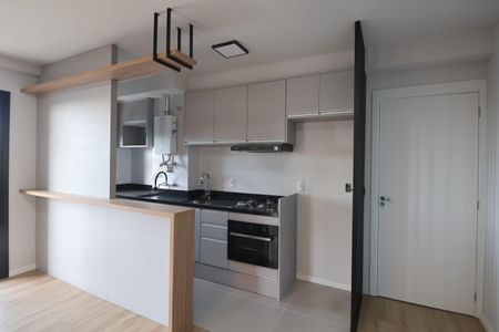 Apartamento à venda com 49m², 2 quartos e 1 vagaCozinha - Armários