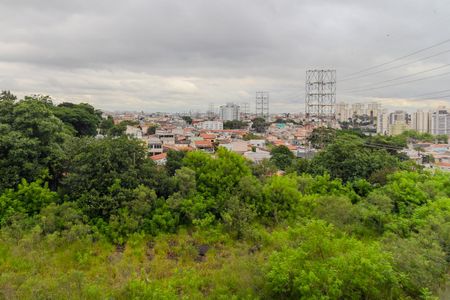 Vista da Sacada de apartamento para alugar com 2 quartos, 57m² em Vila Ivone, São Paulo