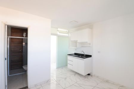 Sala/Cozinha/área de serviço de apartamento para alugar com 1 quarto, 43m² em Vila Amalia (zona Norte), São Paulo