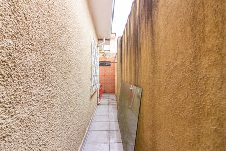 Casa para alugar com 300m², 6 quartos e 3 vagasQuintal