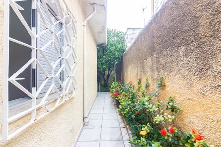 Casa para alugar com 300m², 6 quartos e 3 vagasQuintal