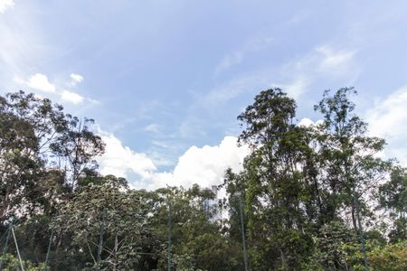 Casa de condomínio à venda com 308m², 4 quartos e 4 vagasÁrea comum