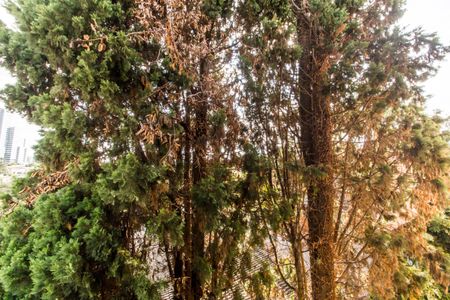 Casa de condomínio à venda com 308m², 4 quartos e 4 vagasVista da Suíte