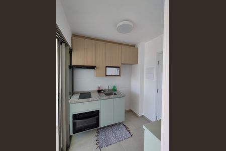 Apartamento para alugar com 23m², 1 quarto e sem vagaCozinha - Armários