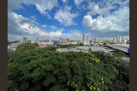 Apartamento para alugar com 65m², 3 quartos e 1 vaga Apartamento para alugar com 65m², 3 quartos e 1 vagaVista do Quarto 1