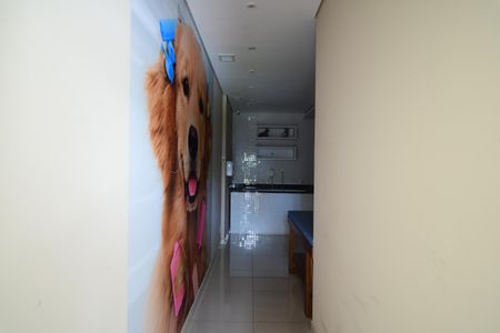 Apartamento para alugar com 188m², 3 quartos e 3 vagasPet Care