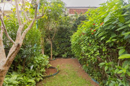 Apartamento para alugar com 78m², 3 quartos e 1 vagaHorta