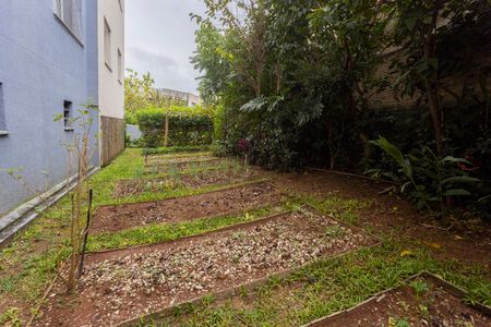 Apartamento para alugar com 78m², 3 quartos e 1 vagaHorta