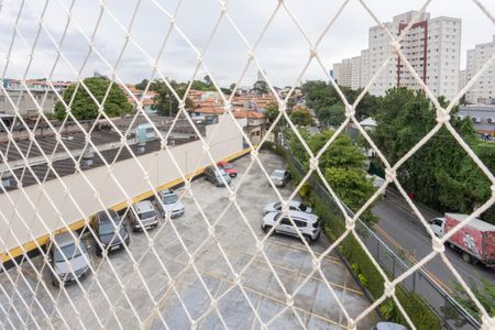 Apartamento para alugar com 78m², 3 quartos e 1 vagaVista da Suíte 1