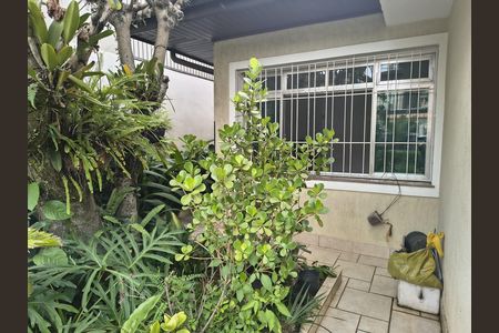 Casa para alugar com 265m², 3 quartos e 3 vagas Casa para alugar com 265m², 3 quartos e 3 vagasÁrea externa