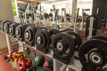 Apartamento para alugar com 53m², 2 quartos e 1 vaga Apartamento para alugar com 53m², 2 quartos e 1 vagaÁrea externa