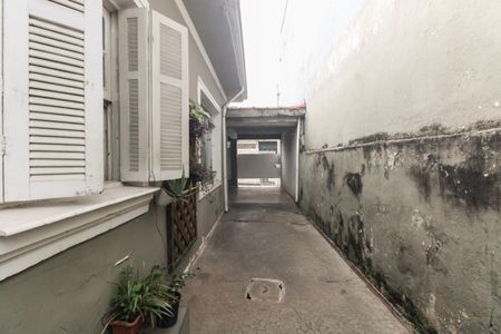 Casa para alugar com 192m², 3 quartos e 4 vagasQuintal 