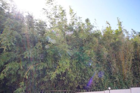 Apartamento à venda com 48m², 2 quartos e 1 vagaVista do Quarto 1