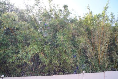 Apartamento à venda com 48m², 2 quartos e 1 vagaVista do Quarto 2