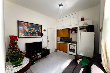 Apartamento para alugar com 1 quarto, 30m² em Flamengo, Rio de Janeiro