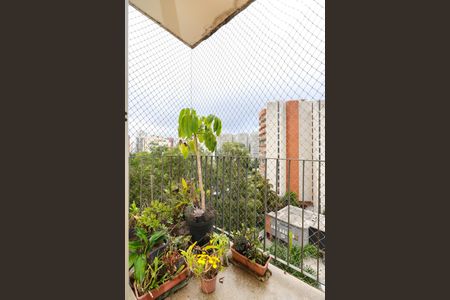 Varanda da Sala de apartamento à venda com 3 quartos, 73m² em Jardim Londrina, São Paulo