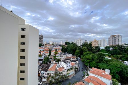 Apartamento à venda com 360m², 4 quartos e 6 vagasVista da Varanda