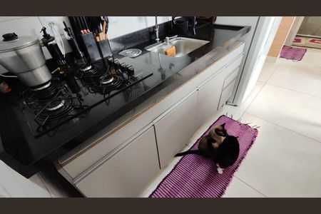 Apartamento para alugar com 48m², 3 quartos e 1 vaga Apartamento para alugar com 48m², 3 quartos e 1 vagaCozinha e Área de Serviço