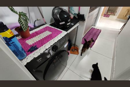 Apartamento para alugar com 48m², 3 quartos e 1 vaga Apartamento para alugar com 48m², 3 quartos e 1 vagaCozinha e Área de Serviço