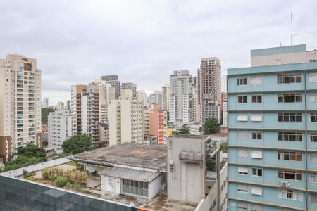 Studio para alugar com 25m², 1 quarto e sem vagaVista da Sacada