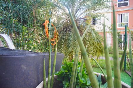 Vista do Quarto 1 de apartamento para alugar com 2 quartos, 52m² em São Miguel, São Leopoldo