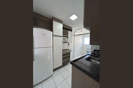 Foto 06 de apartamento à venda com 2 quartos, 55m² em Bonfim, Campinas