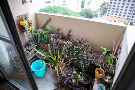 Apartamento à venda com 62m², 2 quartos e 1 vagaSacada