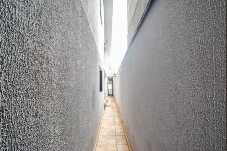 Casa à venda com 228m², 3 quartos e 2 vagasQuintal