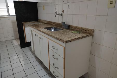 Apartamento à venda com 53m², 2 quartos e 1 vagaCozinha - Armários