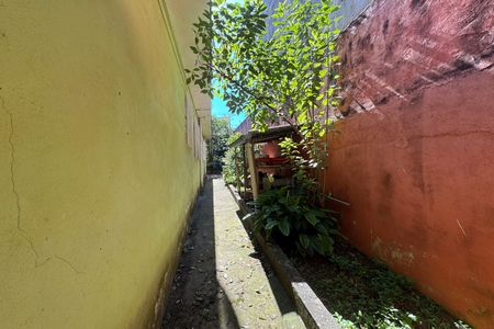 Casa à venda com 1365m², 3 quartos e sem vagaQuintal