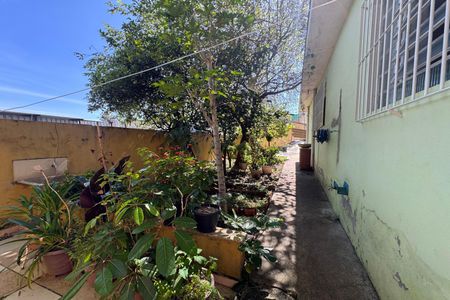 Casa à venda com 1365m², 3 quartos e sem vagaQuintal