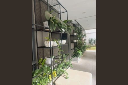 Apartamento para alugar com 19m², 1 quarto e sem vagaÁrea comum