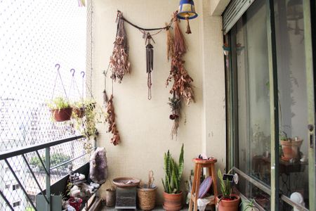 Apartamento à venda com 242m², 3 quartos e 1 vaga