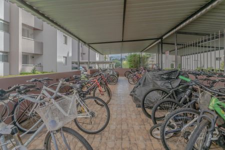 Apartamento para alugar com 55m², 2 quartos e 1 vaga Apartamento para alugar com 55m², 2 quartos e 1 vagaÁrea Comum