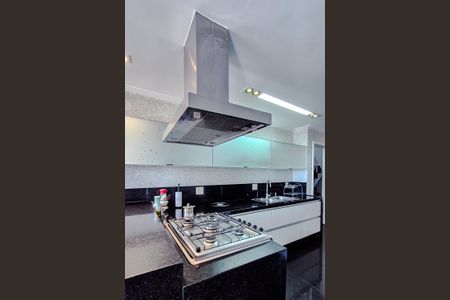 Apartamento para alugar com 574m², 4 quartos e 8 vagasCozinha