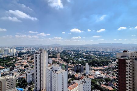 Apartamento para alugar com 574m², 4 quartos e 8 vagasVista da Suíte 2