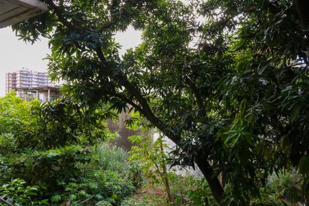 Casa de condomínio para alugar com 65m², 2 quartos e sem vagaVista do Quarto 1