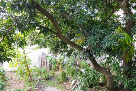 Casa de condomínio para alugar com 65m², 2 quartos e sem vagaVista do Quarto 2