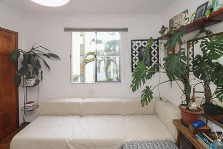 Sala  de apartamento à venda com 2 quartos, 63m² em Vila Guilherme, São Paulo