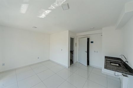 Kitnet/Studio para alugar com 1 quarto, 27m² em Quinta da Paineira, São Paulo