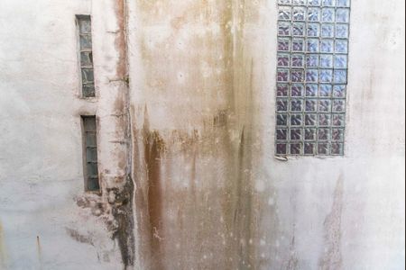 Apartamento à venda com 56m², 2 quartos e 1 vagaVista do Quarto 2